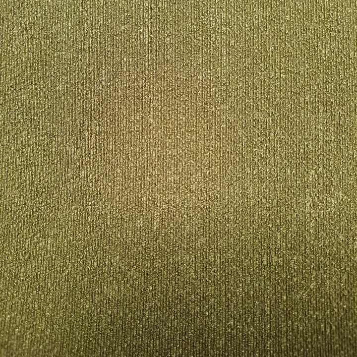 Kąpielówki męskie Pique Speedo Khaky Addicted