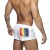 Szorty kąpielowe męskie Rainbow White Addicted
